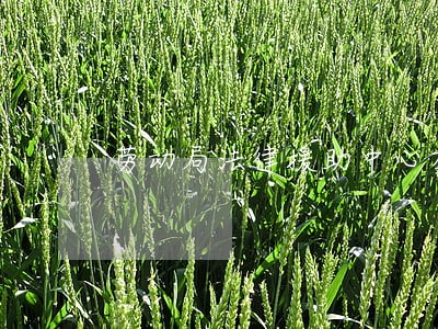 劳动局法律援助中心在哪 劳动局法律援助中心在哪