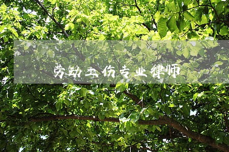 劳动工伤专业律师 劳动工伤专业律师