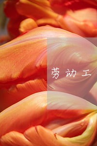劳动工伤律师事务所地址 劳动工伤律师事务所地址