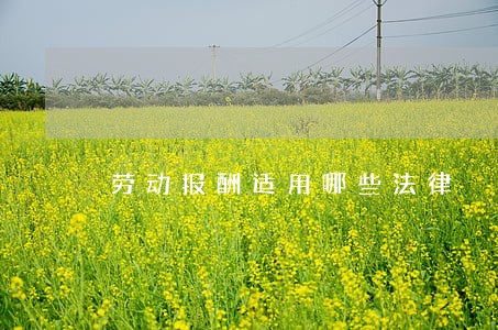 劳动报酬适用哪些法律 劳动报酬适用哪些法律