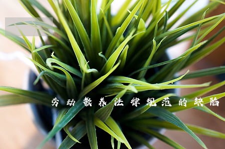 劳动教养法律规范的缺陷 劳动教养法律规范的缺陷
