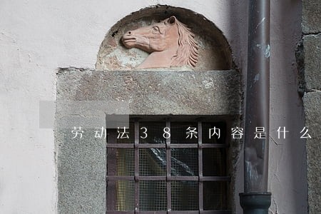 劳动法38条内容是什么 劳动法38条内容是什么