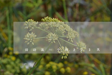 劳动法一个月上23天 劳动法一个月上23天