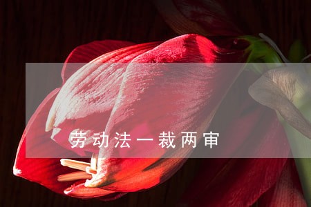 劳动法一裁两审 劳动法一裁两审