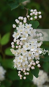 劳动法三薪计算 劳动法三薪计算
