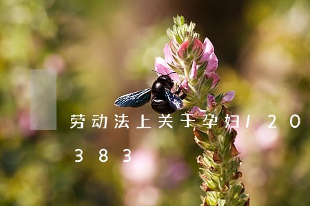 劳动法上关于孕妇/2023021013383 劳动法上关于孕妇/2023021013383