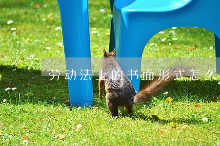 劳动法上的书面形式怎么写 劳动法上的书面形式怎么写