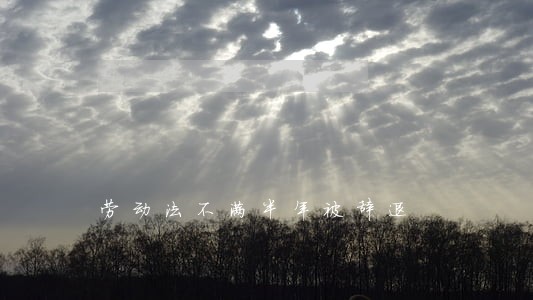 劳动法不满半年被辞退 劳动法不满半年被辞退