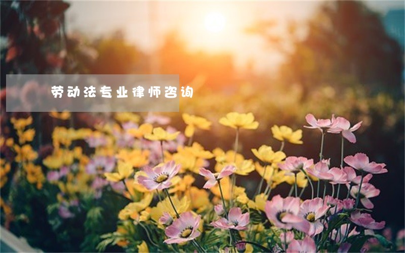 劳动法专业律师咨询 劳动法专业律师咨询