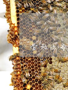 劳动法专业律师讲解 劳动法专业律师讲解
