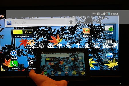 劳动法中关于生理假期 劳动法中关于生理假期