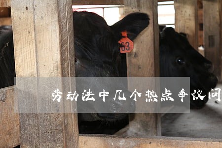 劳动法中几个热点争议问题探讨 劳动法中几个热点争议问题探讨