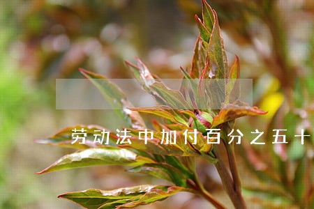 劳动法中加付百分之五十补偿金 劳动法中加付百分之五十补偿金