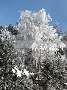劳动法中在工作满三年 劳动法中在工作满三年