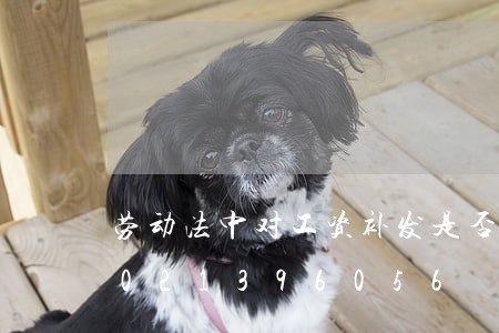 劳动法中对工资补发是否有规定/2023021396056 劳动法中对工资补发是否有规定/2023021396056