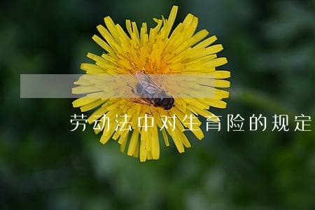 劳动法中对生育险的规定 劳动法中对生育险的规定