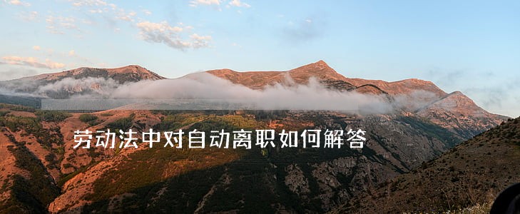 劳动法中对自动离职如何解答 劳动法中对自动离职如何解答