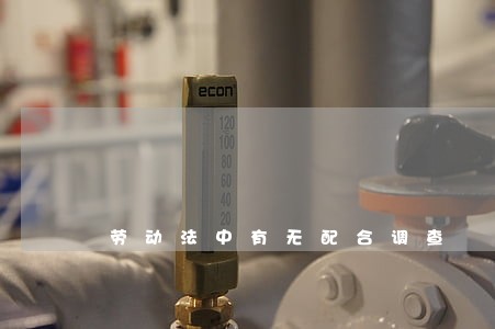 劳动法中有无配合调查 劳动法中有无配合调查