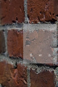 劳动法中权利和义务的关系是什么