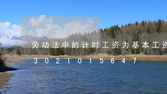 劳动法中的计时工资为基本工资吗/2023021015647 劳动法中的计时工资为基本工资吗/2023021015647