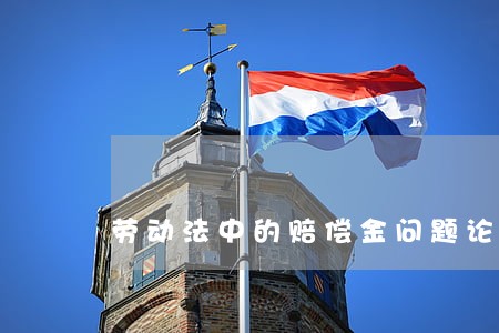 劳动法中的赔偿金问题论文 劳动法中的赔偿金问题论文