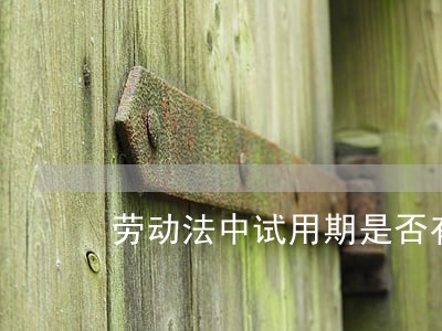 劳动法中试用期是否有陪产假 劳动法中试用期是否有陪产假