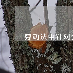劳动法中针对女性的保护条例