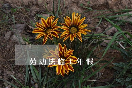 劳动法临工年假 劳动法临工年假