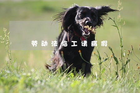 劳动法临工请病假 劳动法临工请病假