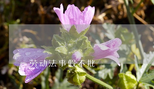 劳动法事假不批