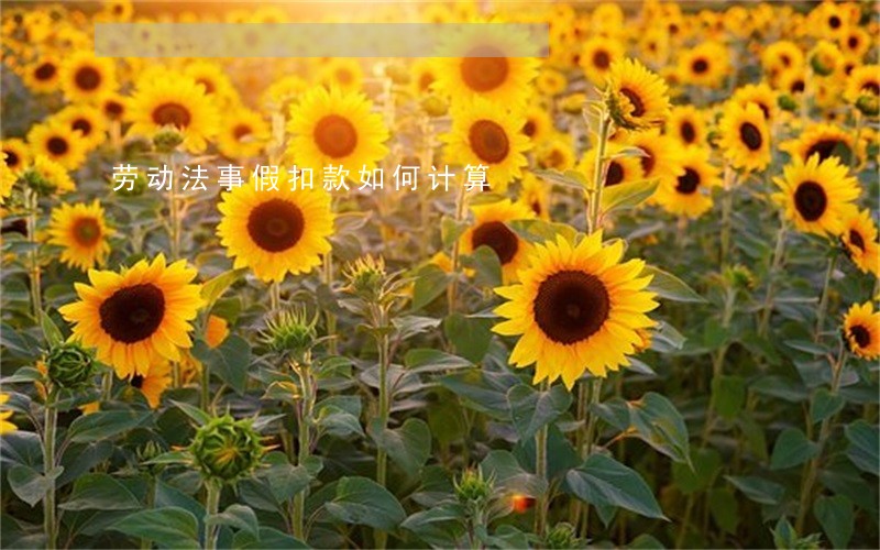劳动法事假扣款如何计算 劳动法事假扣款如何计算