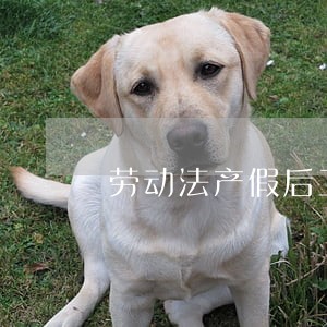 劳动法产假后工作安排 劳动法产假后工作安排