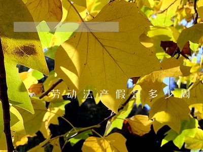 劳动法产假是多少周 劳动法产假是多少周