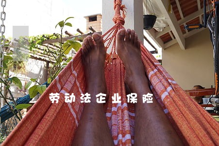 劳动法企业保险 劳动法企业保险