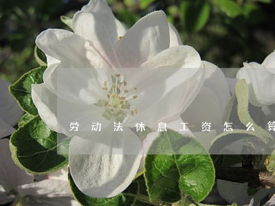 劳动法休息工资怎么算 劳动法休息工资怎么算