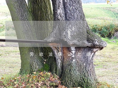 劳动法保证上班时间 劳动法保证上班时间