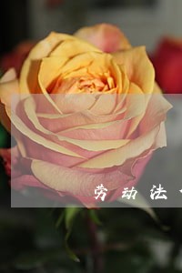 劳动法倒底属于哪个法律部门 劳动法倒底属于哪个法律部门