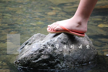 劳动法公司进行调整 劳动法公司进行调整