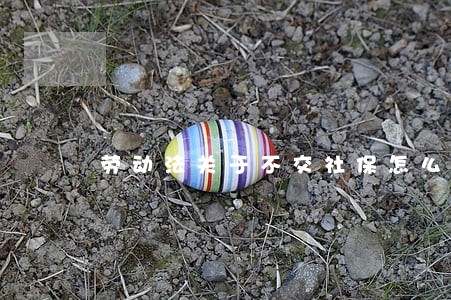 劳动法关于不交社保怎么处罚企业