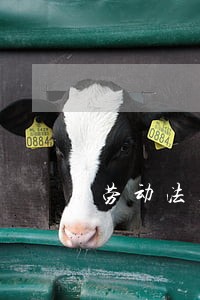 劳动法关于个人信息保护 劳动法关于个人信息保护