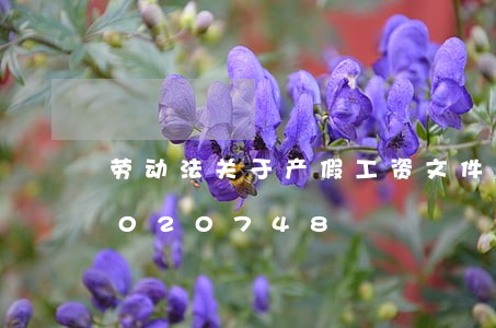 劳动法关于产假工资文件/2023021020748