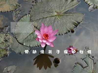 劳动法关于保护女性 劳动法关于保护女性