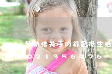 劳动法关于内养最低生活费标准/2023021356476