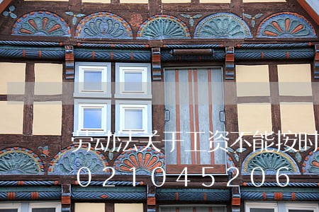 劳动法关于工资不能按时发放的/2023021045206 劳动法关于工资不能按时发放的/2023021045206