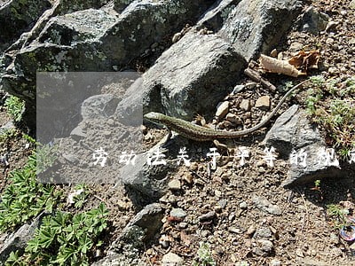 劳动法关于平等的规定 劳动法关于平等的规定