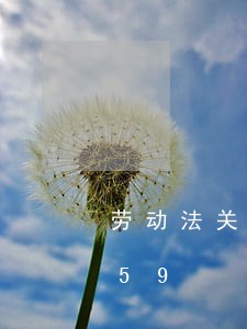 劳动法关于担保/2023021027159 劳动法关于担保/2023021027159