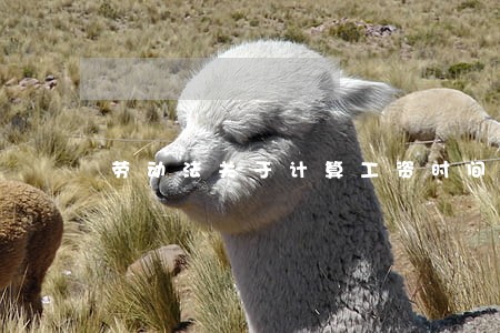 劳动法关于计算工资时间的规定 劳动法关于计算工资时间的规定