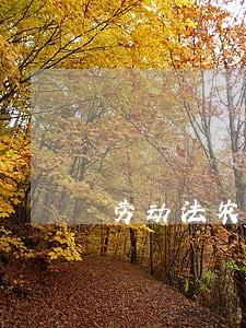 劳动法农民工多少岁 劳动法农民工多少岁