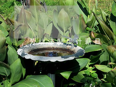 劳动法制度计薪日 劳动法制度计薪日