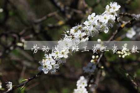劳动法加班工资工资基数如何计算 劳动法加班工资工资基数如何计算